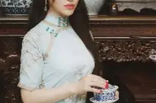 从从容容游刃有余入选年度流行语