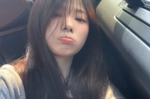 莫氏鸡煲老板为抗拒走红“自黑”食材为冰冻鸡现场食客不信：我亲眼看到他们抓鸡拔毛